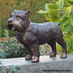 Bronze-Wachhund - Yorkshire Terrier. Bronzefigur und Gartenfigur bei Kunsthandel Lohmann in Timmendorfer Strand.